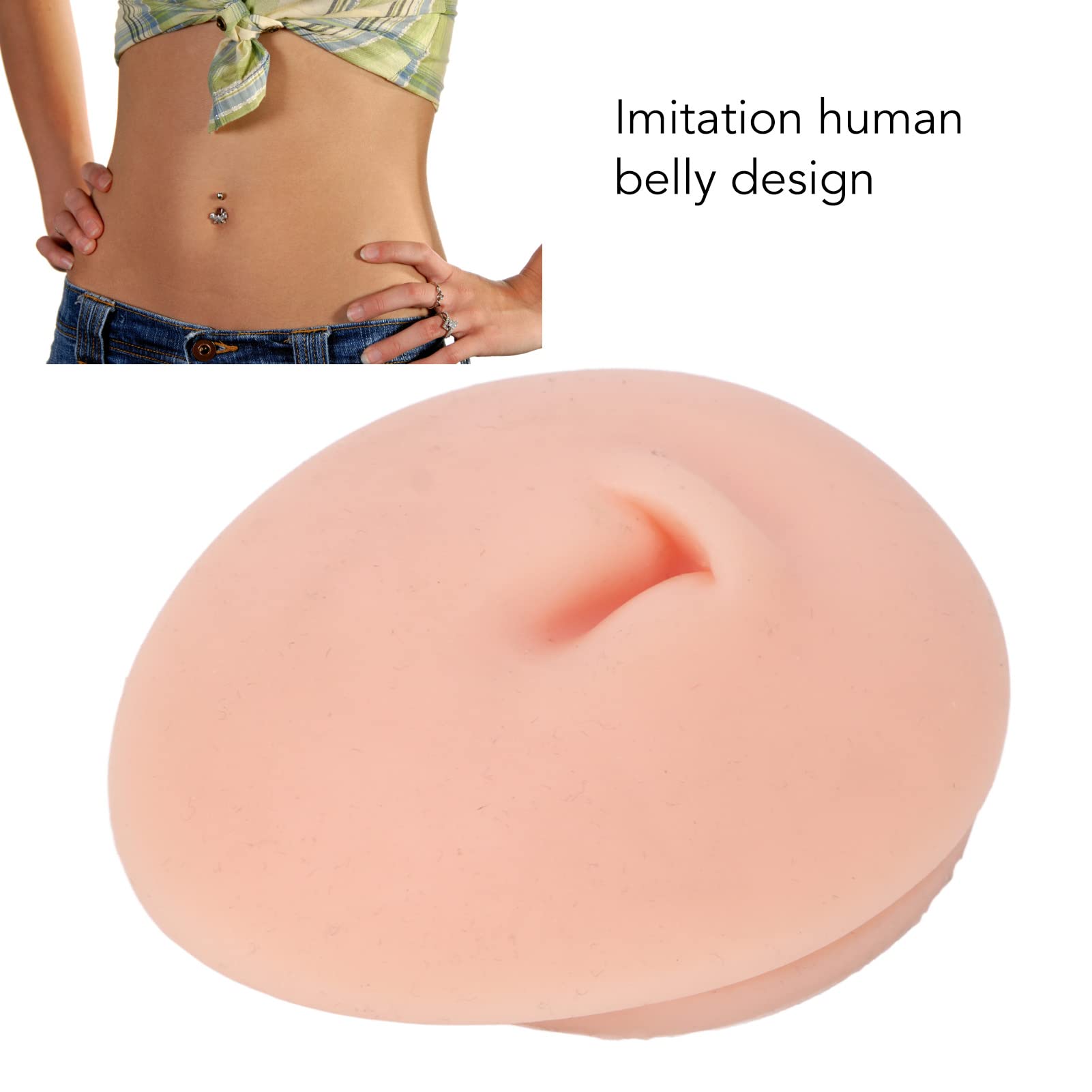 FILFEEL 3D Belly Model on a stable stand for intuitive demonstrations.
