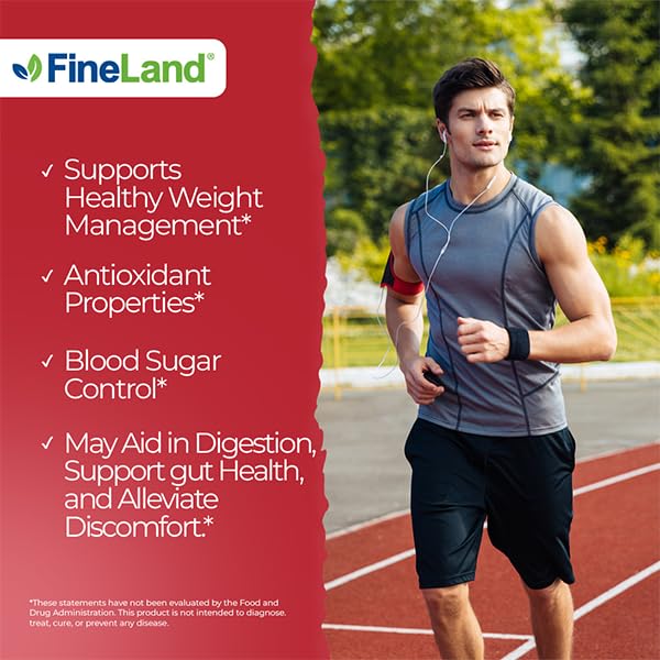 FineLand Apple Cider Vinegar Capsules made in USA label shows GMP-certified production.