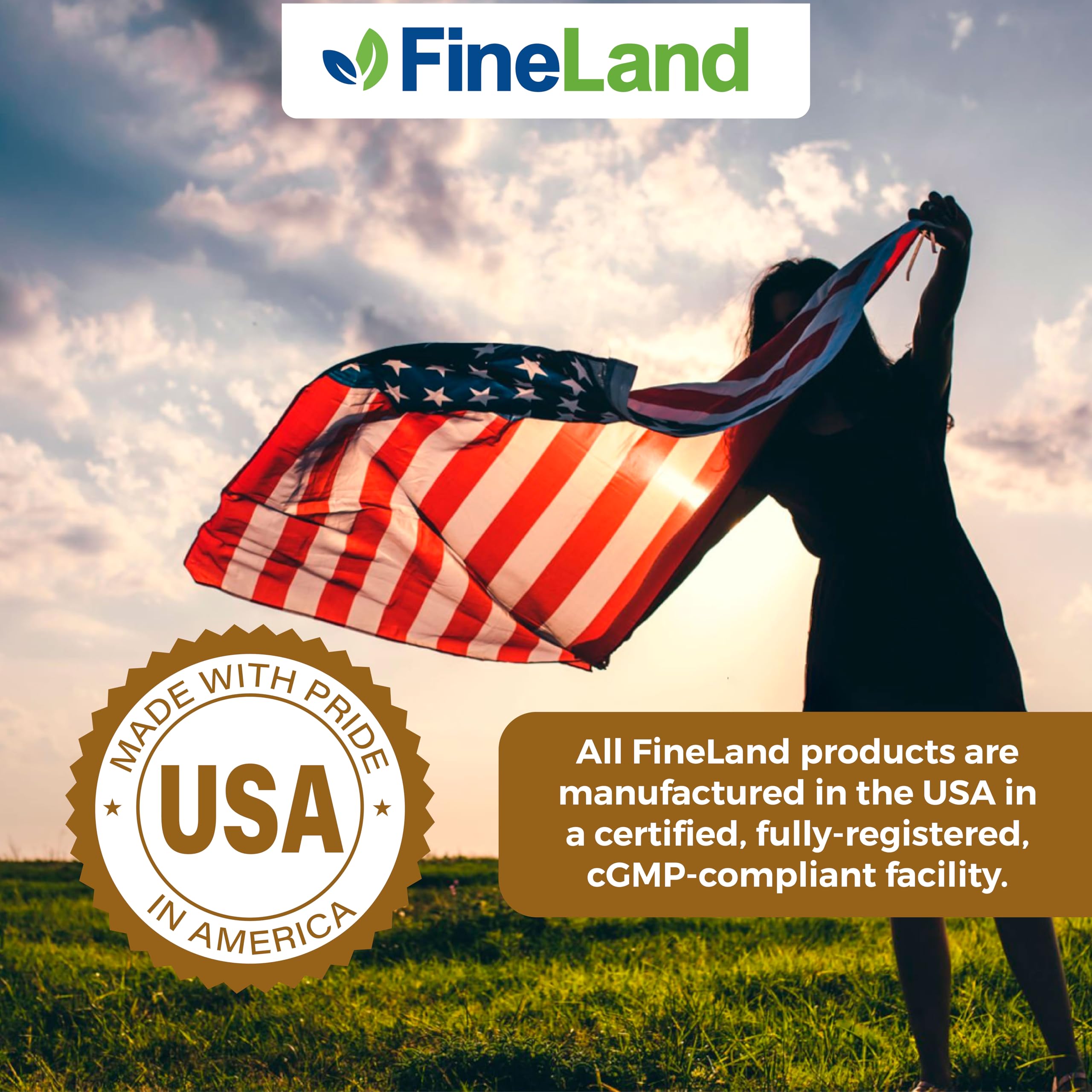 FineLand capsules in hand suggesting daily intake for a simple wellness routine