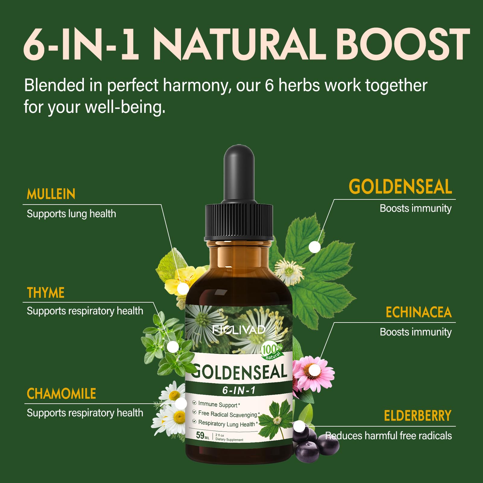 FIOLIVAD respiratory health drops with mullein and thyme.