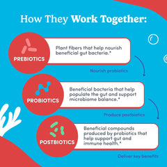 FIRST DAY Label highlights allergen-free and braces-friendly formula.