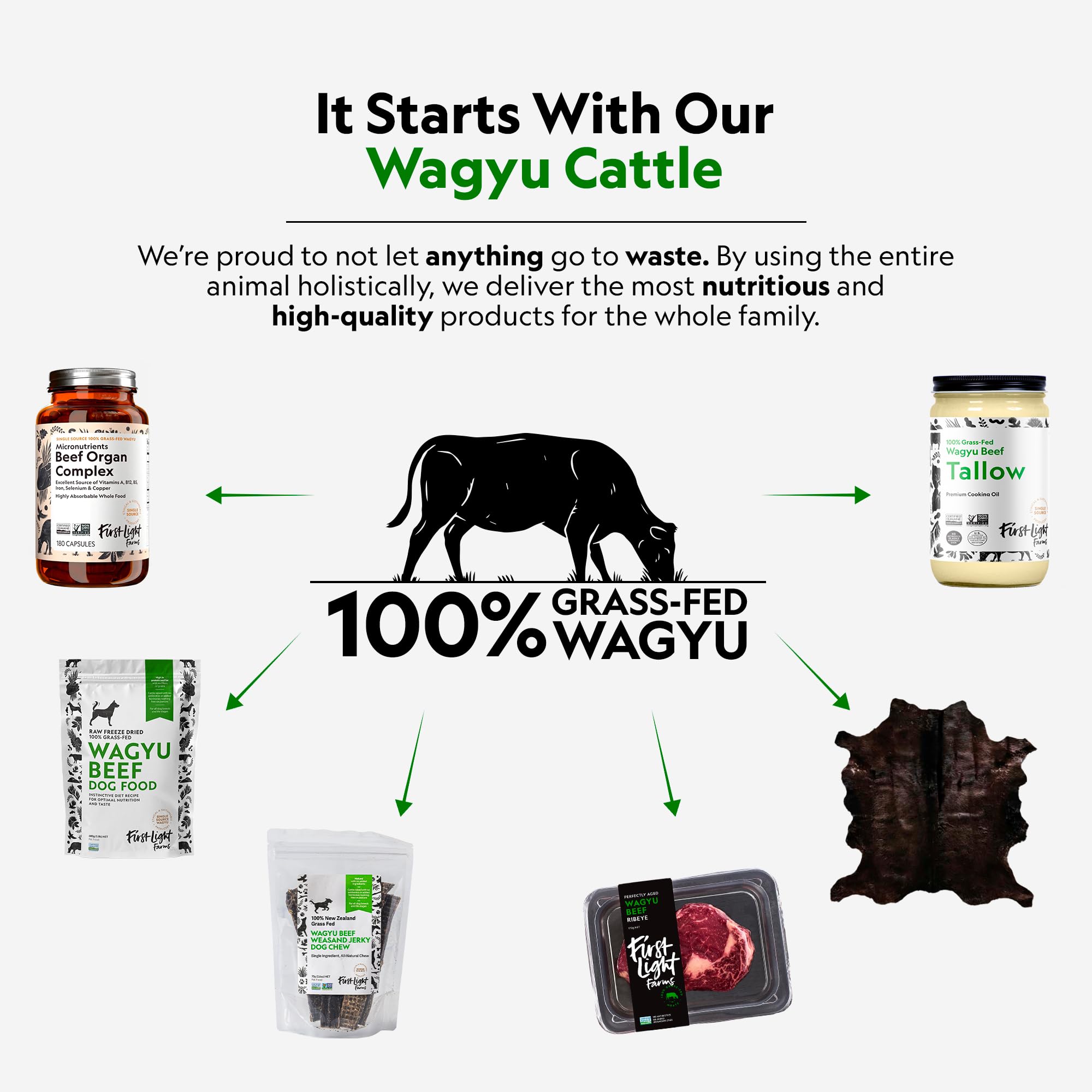First Light Wagyu Organ Complex freeze-dried liver – nutrient-dense organ meat.