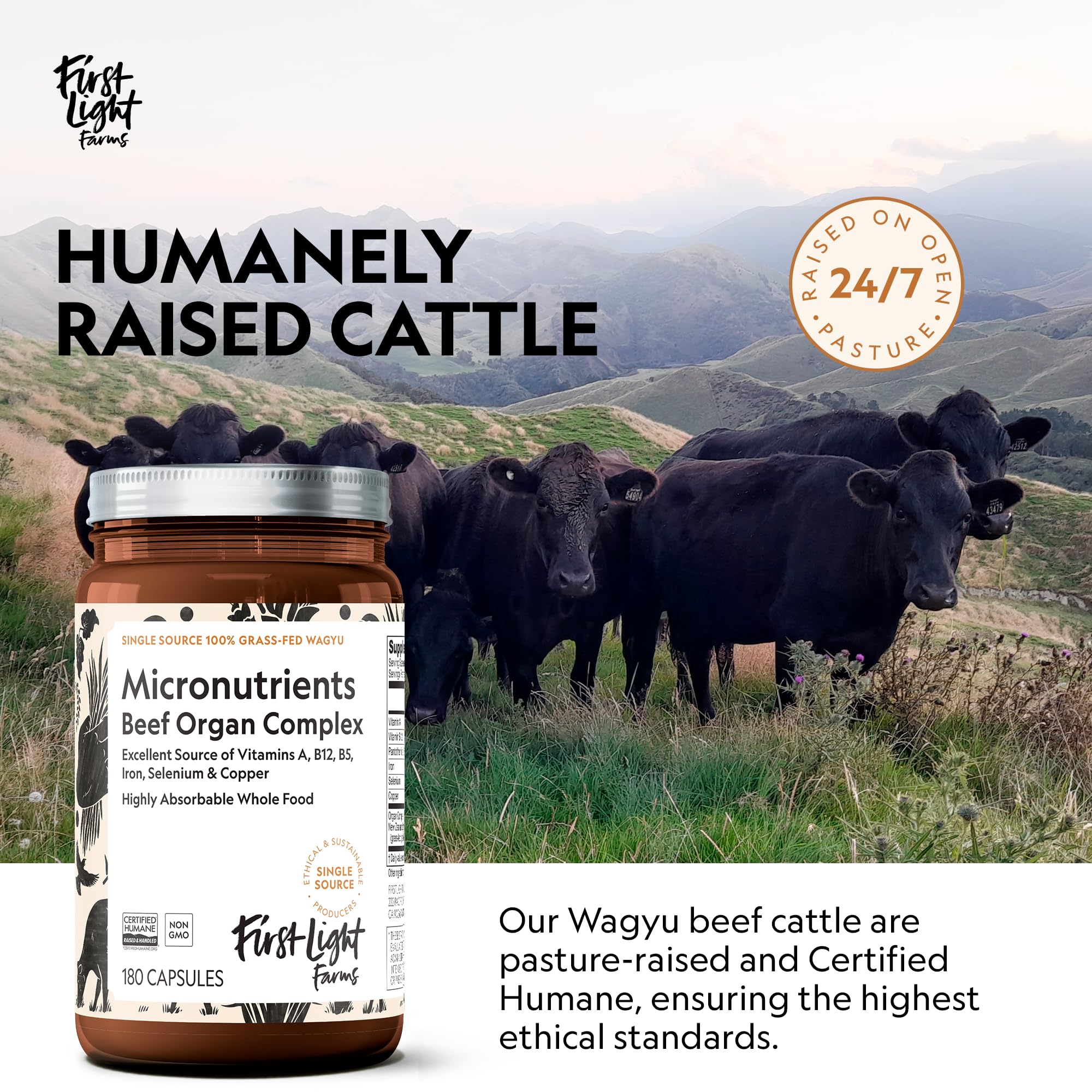 First Light Wagyu Organ Complex packaging in cgmp facility – quality you can trust.