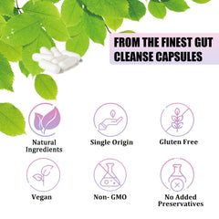 FITactic ParaPurge digestive-system-graphic explaining colon and gut support