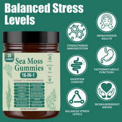 FITactic Sea Moss Gummies offer a fruit-flavored texture for easy daily intake.