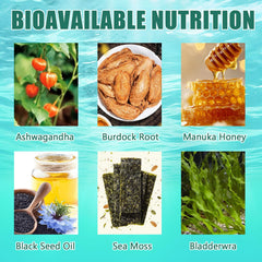 Close-up of FITactic Sea Moss Gummies label showing natural nutrients and tropical flavor.