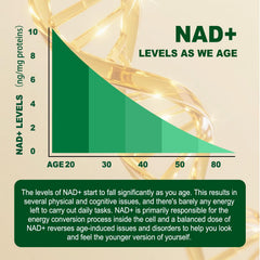 Fitfido ingredients chart highlighting NAD+, Resveratrol and CoQ10