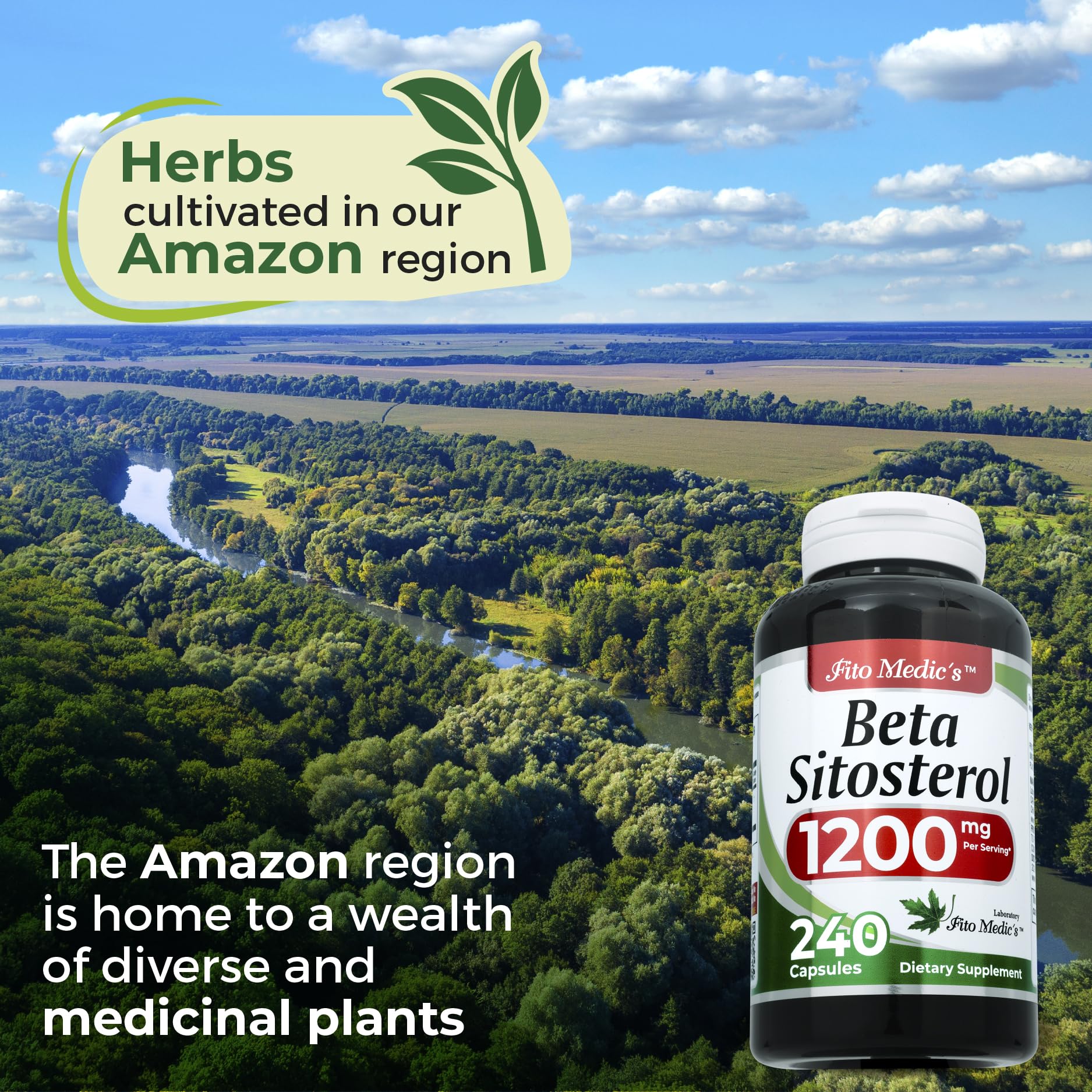 Nutrition label back of FITO MEDIC'S beta sitosterol bottle with per-serving details