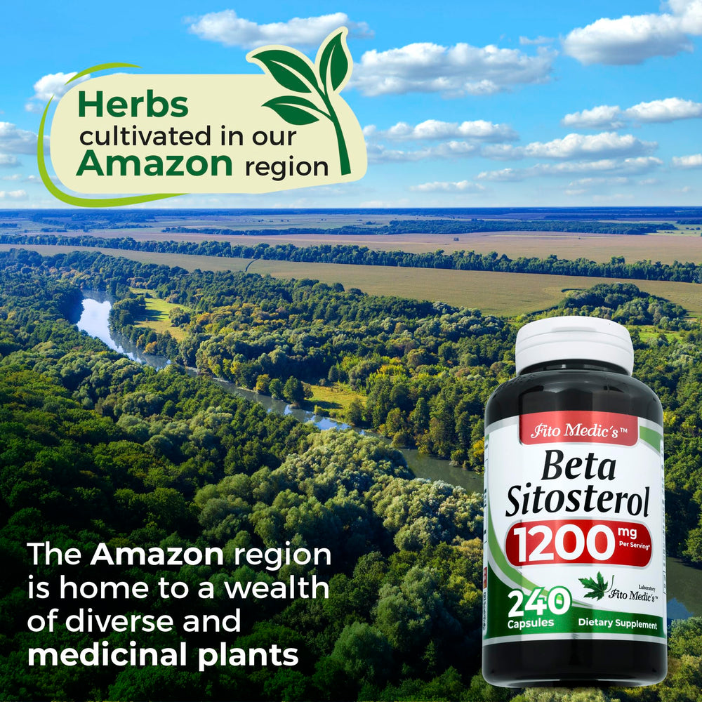 Nutrition label back of FITO MEDIC'S beta sitosterol bottle with per-serving details