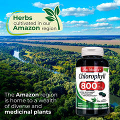 FITO MEDIC'S Pack of chlorophyll softgels inside view for steady greens intake