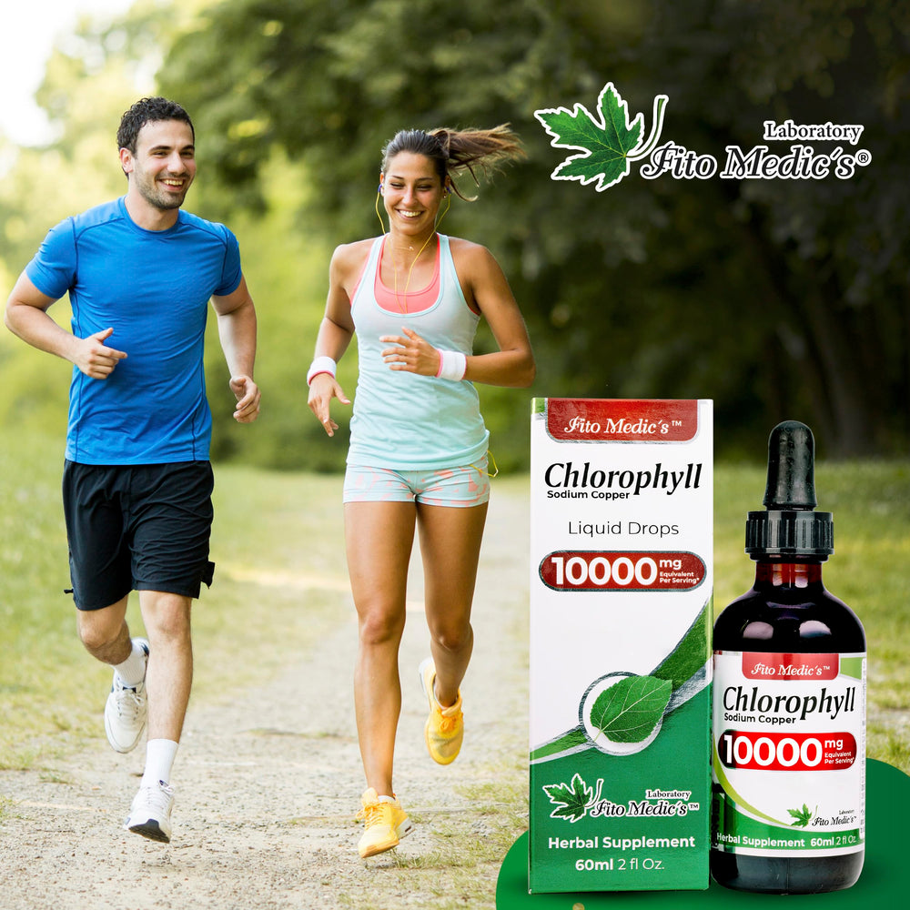 FITO MEDIC'S Lab mulberry leaves image highlighting natural source for chlorophyll extract.