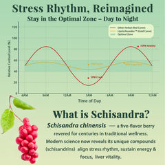 Sunflower liposome illustration highlighting absorption technology.