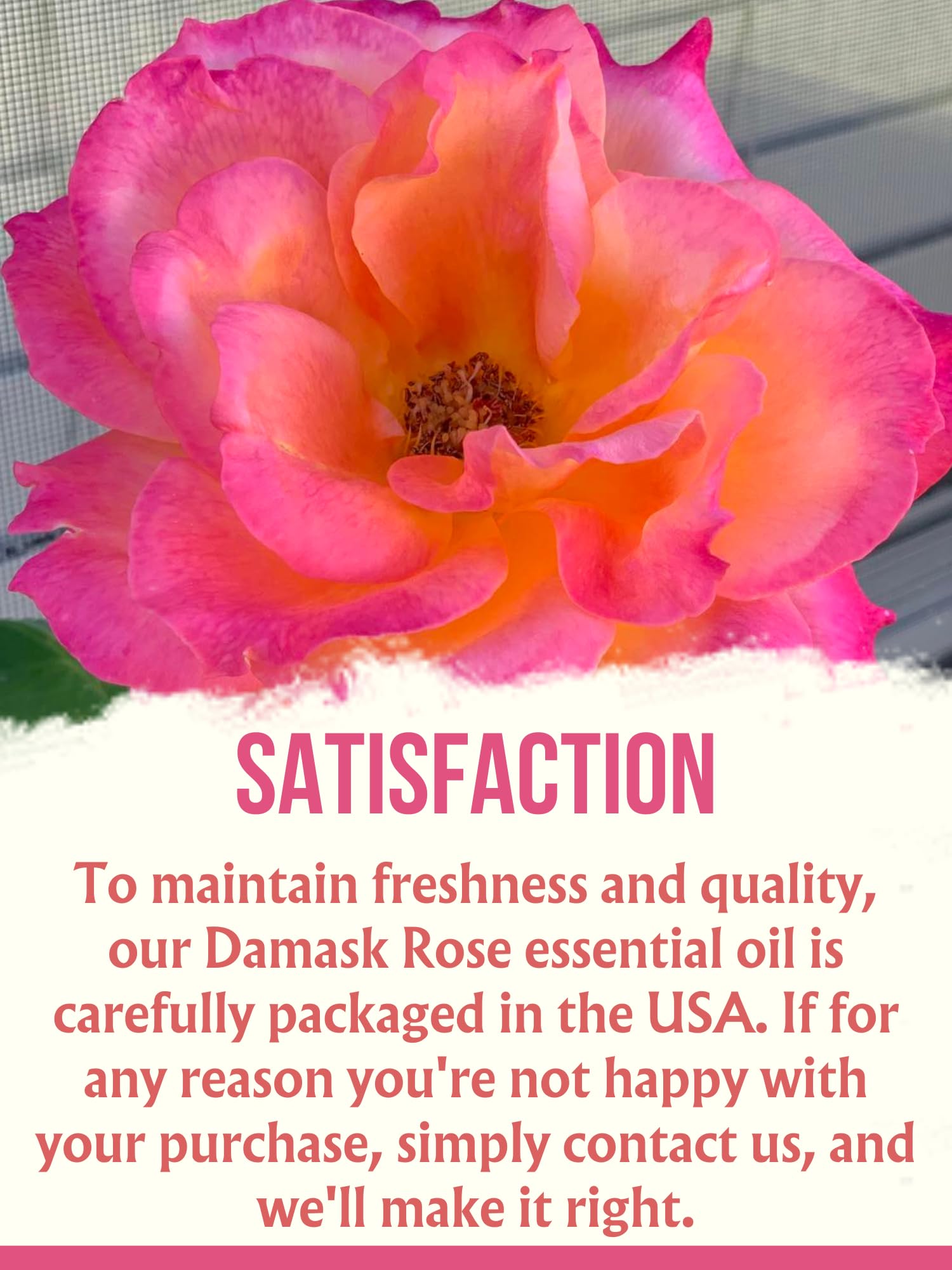 Flora Aromatics origin Bulgaria rose oil authentic Damask fragrance.