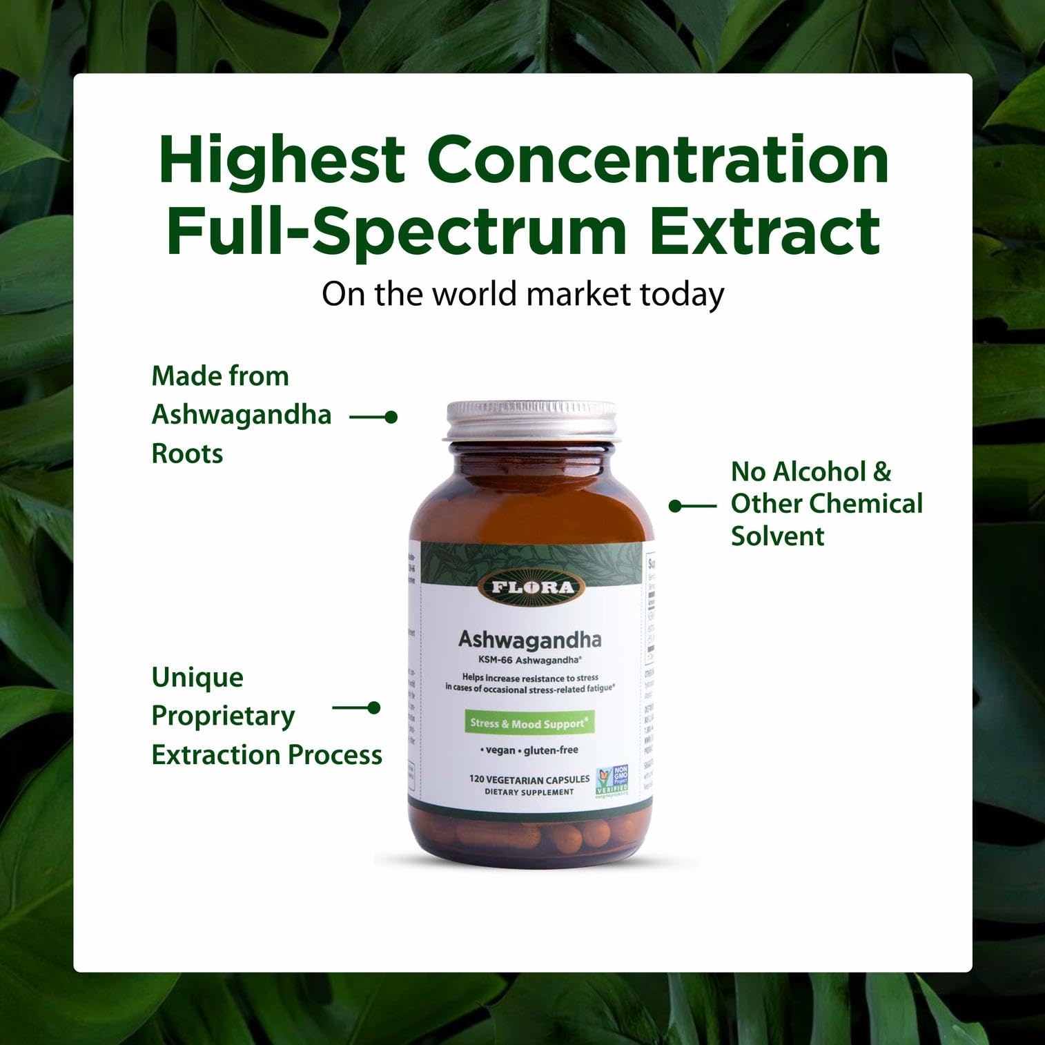 Flora Ashwagandha KSM-66 bottle highlights vegan gluten-free attributes for athletes.