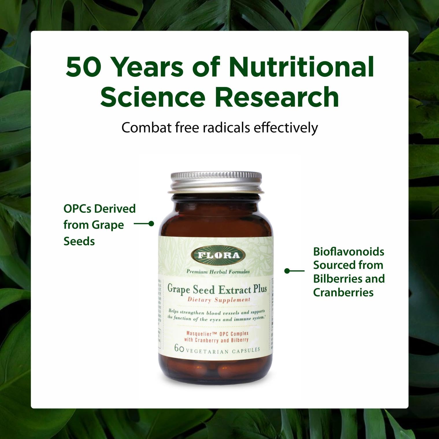 Flora Bilberry Extract capsule emphasizes bioflavonoids for tissue support.