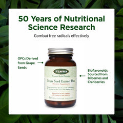 Flora Bilberry Extract capsule emphasizes bioflavonoids for tissue support.