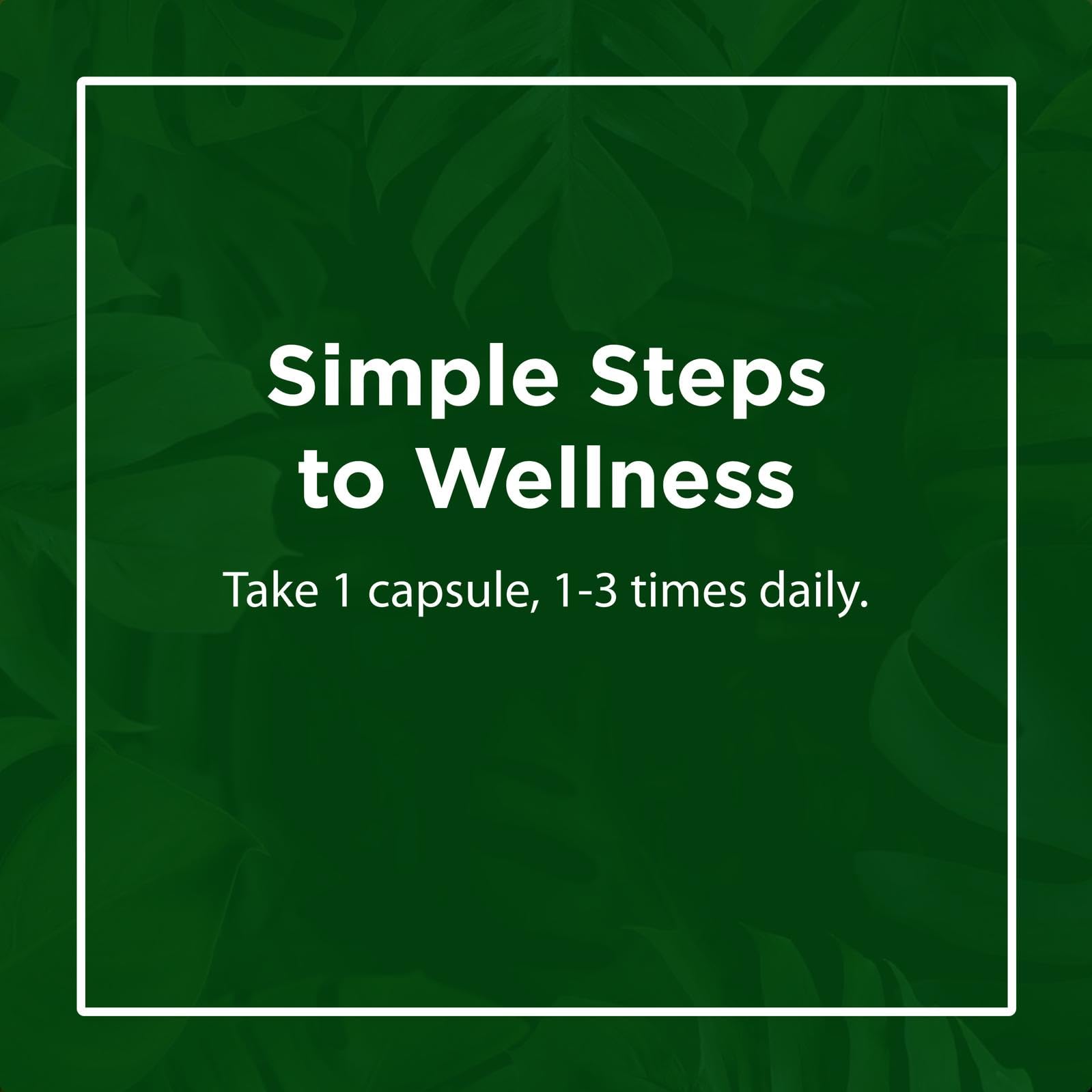 Travel-friendly Flora Complete Care Probiotic packaging designed for on-the-go use.