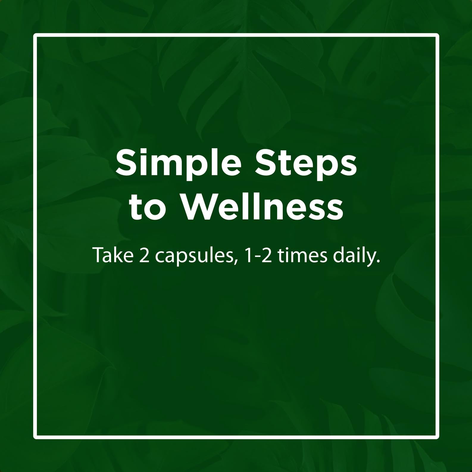 Illustration of low-temperature drying preserving nutrients in Flora Acerola