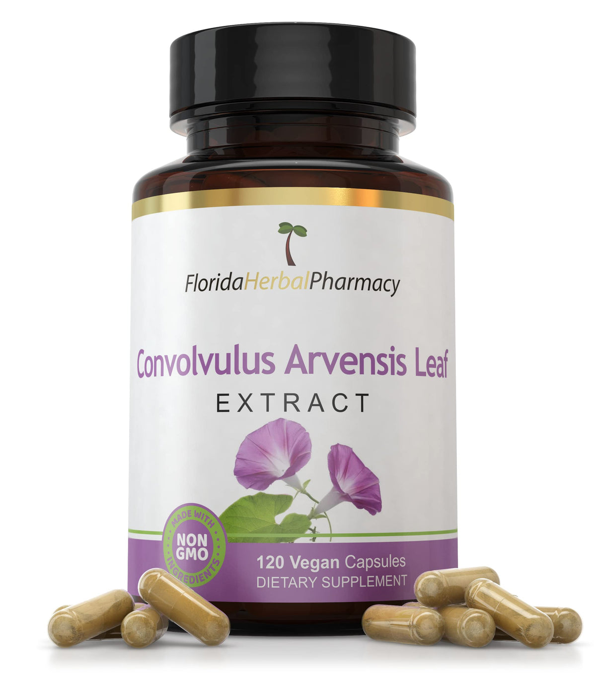 Florida Herbal Pharmacy Convolvulus Arvensis leaf extract bottle, high-potency daily wellness formula.