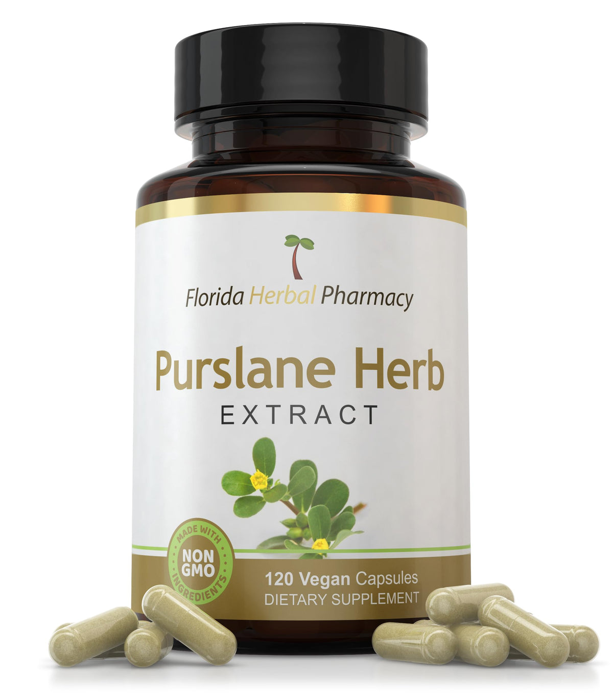 Florida Herbal Pharmacy Purslane extract bottle shows a 10:1 concentrate for daily support.