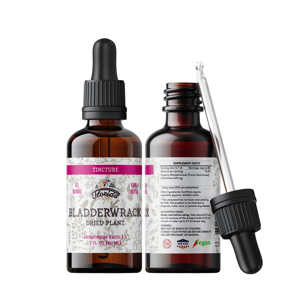 Florida Herbs Bladderwrack tincture bottle front view for daily wellness in a glycerin base