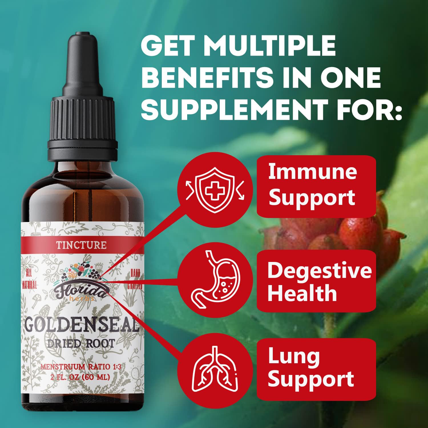 Florida Herbs Goldenseal tincture label highlighting organic ingredients