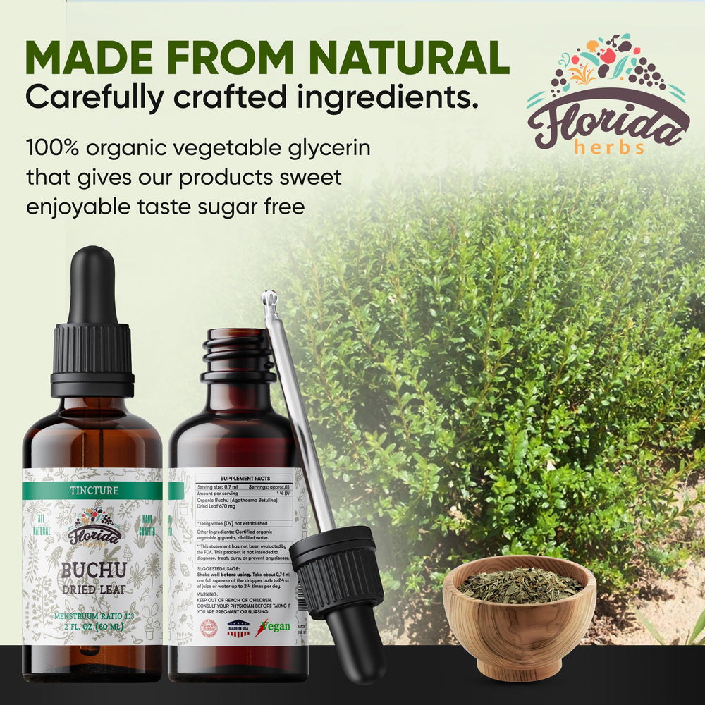 Florida Herbs organic Buchu leaf close-up highlighting natural origin