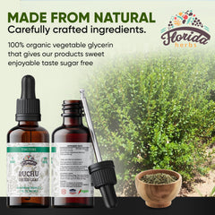 Florida Herbs organic Buchu leaf close-up highlighting natural origin