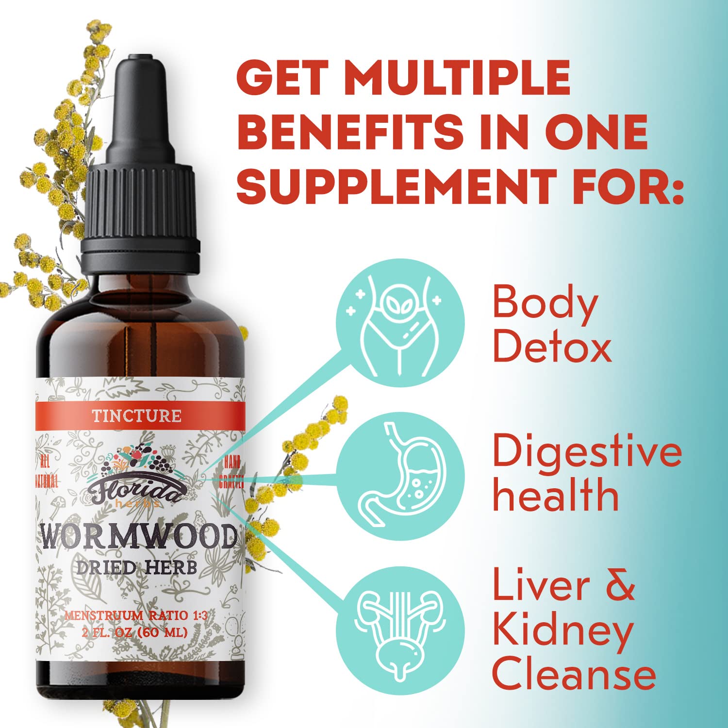 Florida Herbs Organic Wormwood plant image emphasizing wild-crafted ingredients and sustainability.