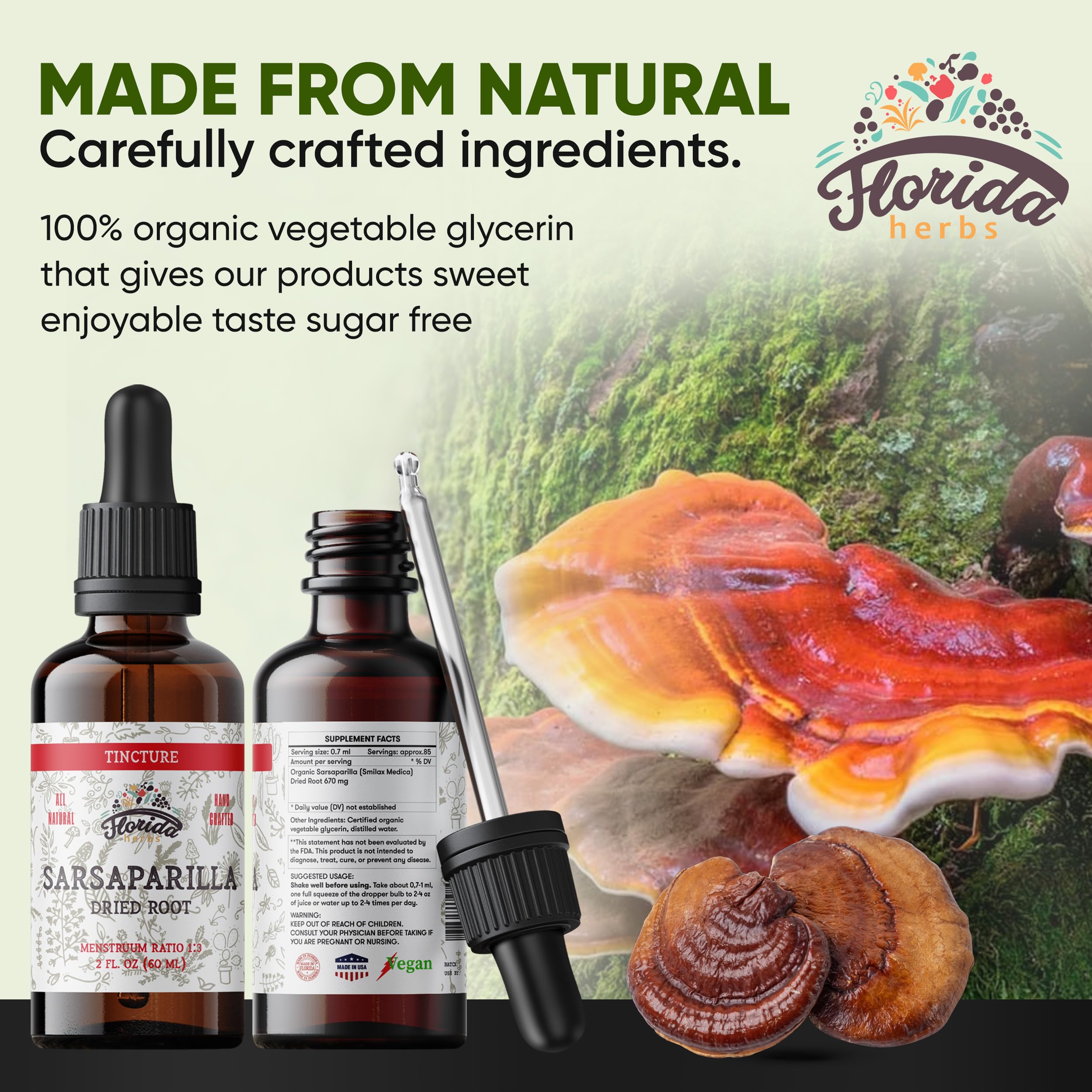 Florida Herbs Reishi tincture dropper for precise daily dosing.