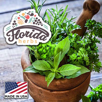 Florida Herbs tincture label close-up emphasizing non-GMO and gluten-free attributes