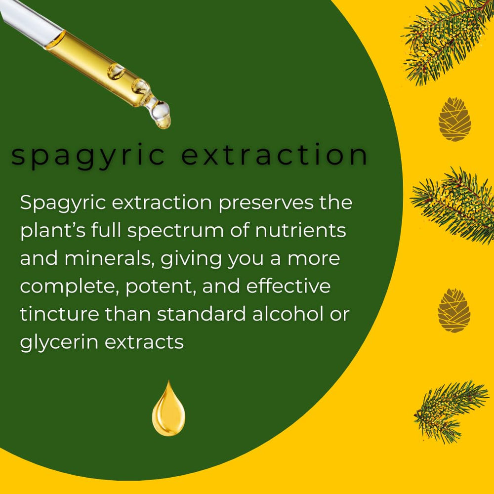 Flower and Song pine pollen tincture pour showing usage for steady energy.