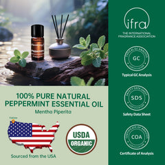 FLOWERSAY Peppermint Oil in diffuser creates a crisp, energizing space.