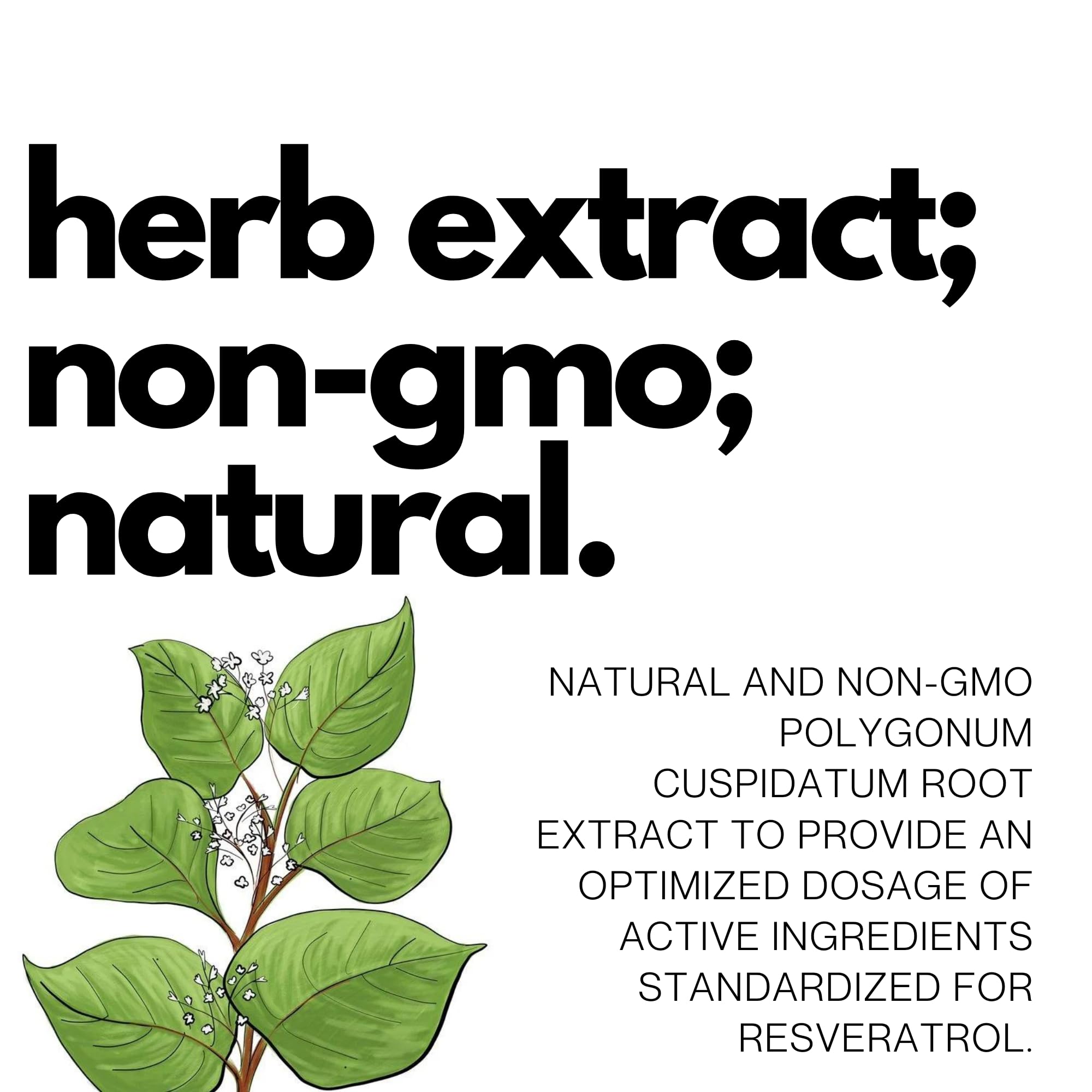 FOLIUS LABS Vegan gluten-free non-GMO assurance for clean routines.