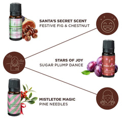 Folkulture eucalyptus leaf helps create refreshing diffuser notes.