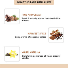 Folkulture cozy diffuser room shows lasting, comforting scent.