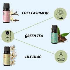 Folkulture Self Love Club Rose Vanilla diffuser oil for cozy, mood-lifting spaces