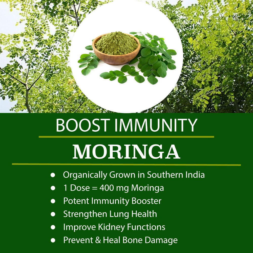 Folona ingredients chlorella moringa spirulina kale boosting whole-food nutrition.