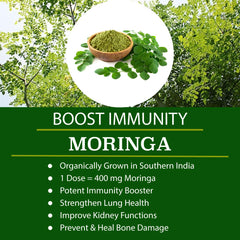 Folona ingredients chlorella moringa spirulina kale boosting whole-food nutrition.