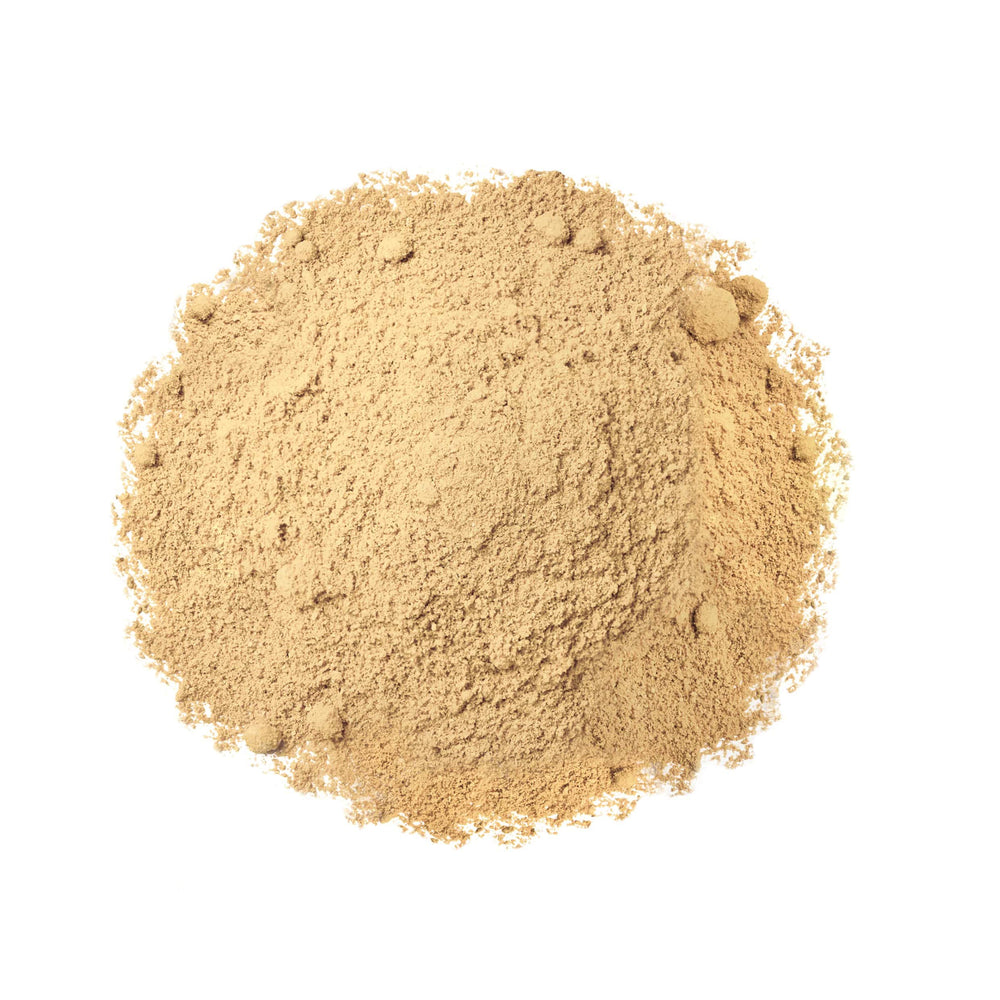 Food to Live Amla Powder scoop illustrates easy portion control for recipes.