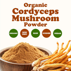 Food to Live Cordyceps powder in bulk packaging, ideal for daily use.
