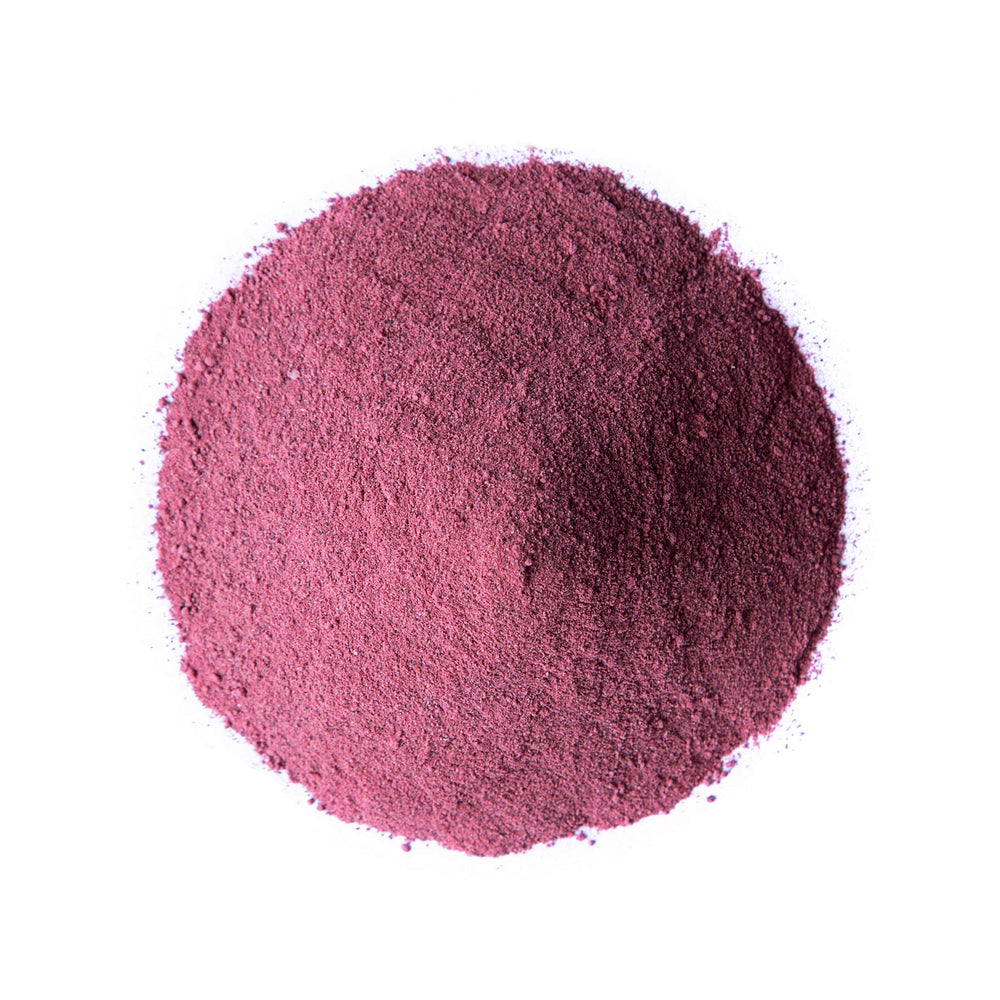 Scoop of Food to Live elderberry powder for easy bulk measuring