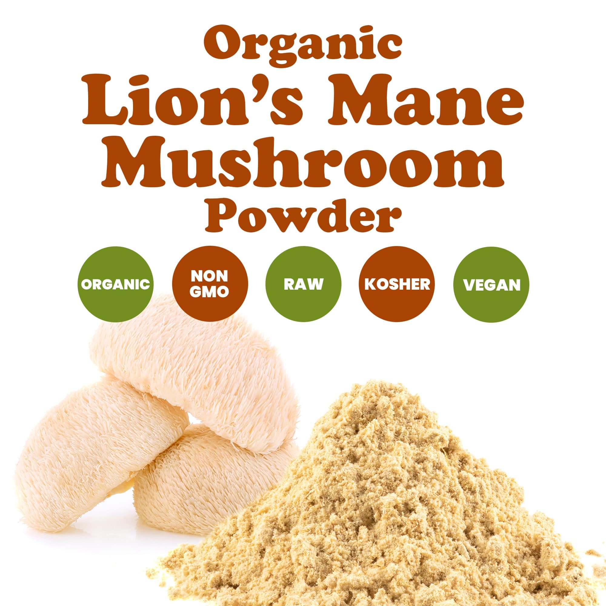 Food to Live Lion's Mane Powder added to oatmeal for a nourishing start.