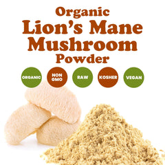 Food to Live Lion's Mane Powder added to oatmeal for a nourishing start.