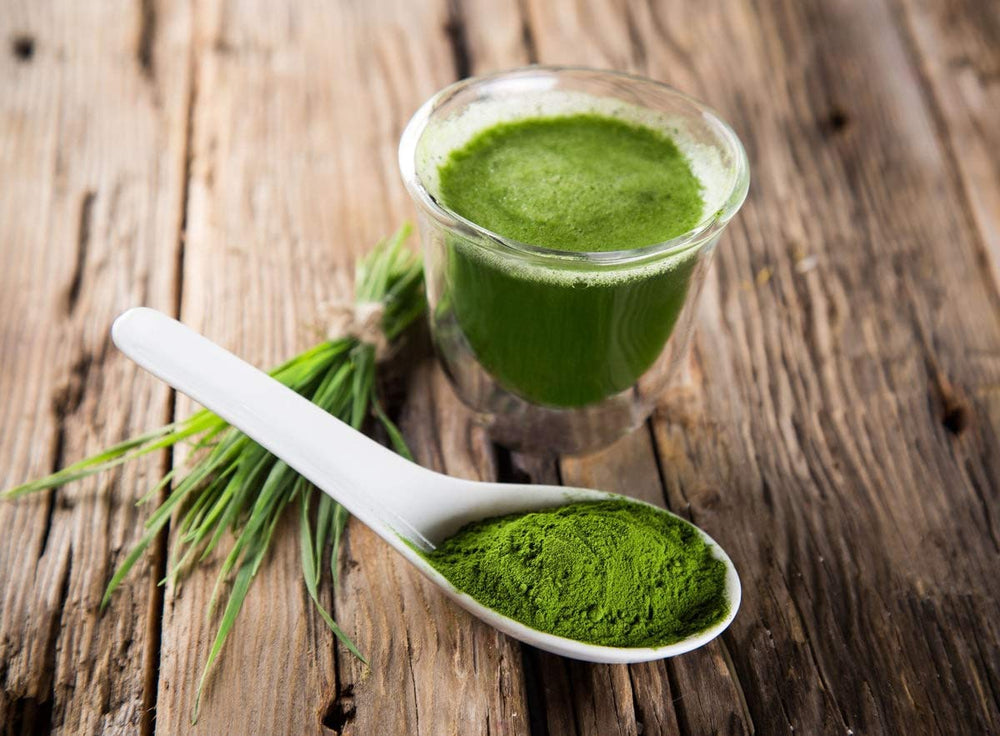Food to Live spirulina powder iron-rich profile supporting daily energy