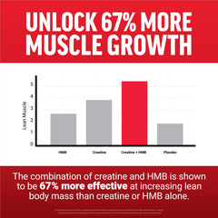 Force Factor Creatine HMB Powder glass shows quick hydration between sets.