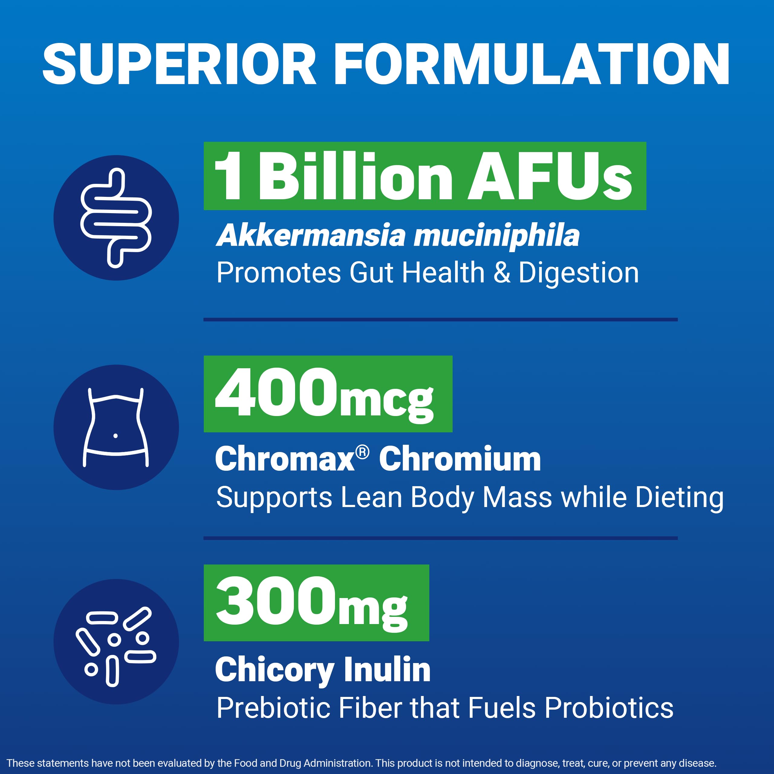 Delayed-release coating protecting ProbioSlim Akkermansia ingredients
