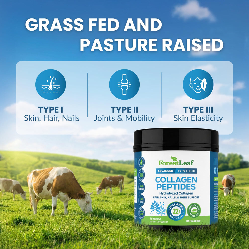 ForestLeaf collagen powder in smoothie illustrates easy daily nutrition boost