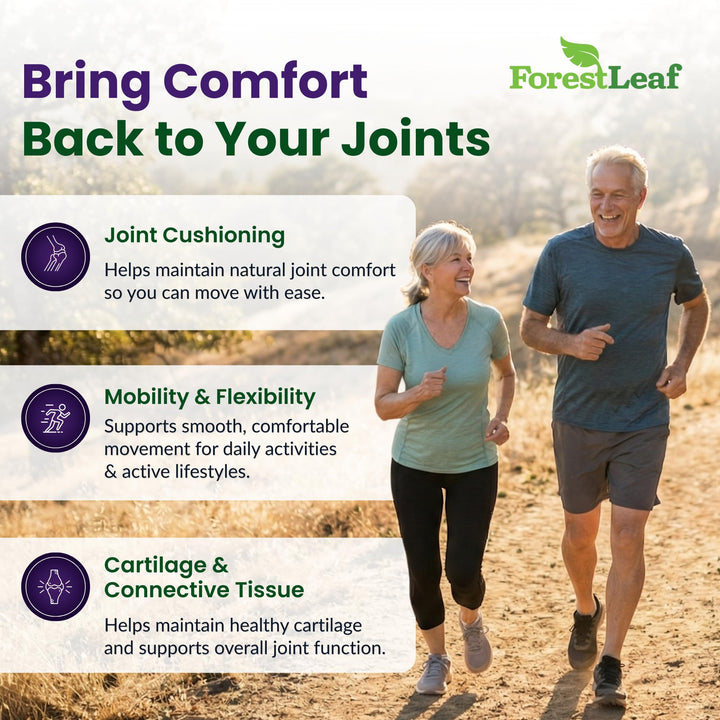 ForestLeaf glucosamine chondroitin msm capsules ready for daily joint comfort