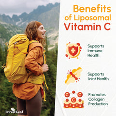 ForestLeaf MCT oil and sunflower lecithin matrix visual suggesting enhanced absorption.